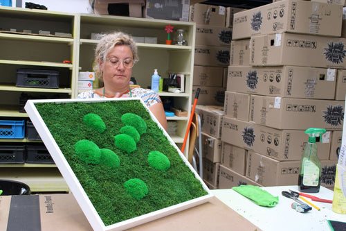 Square moss picture with pole moss cushions on flat moss in a white frame