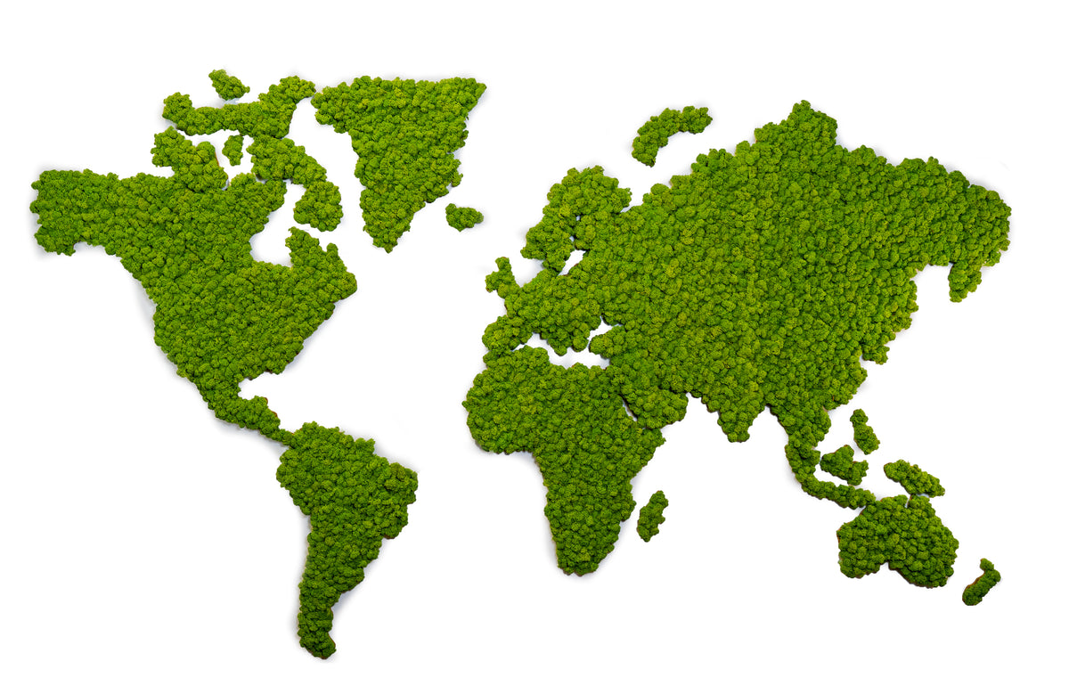 World map made of preserved moss on the wall