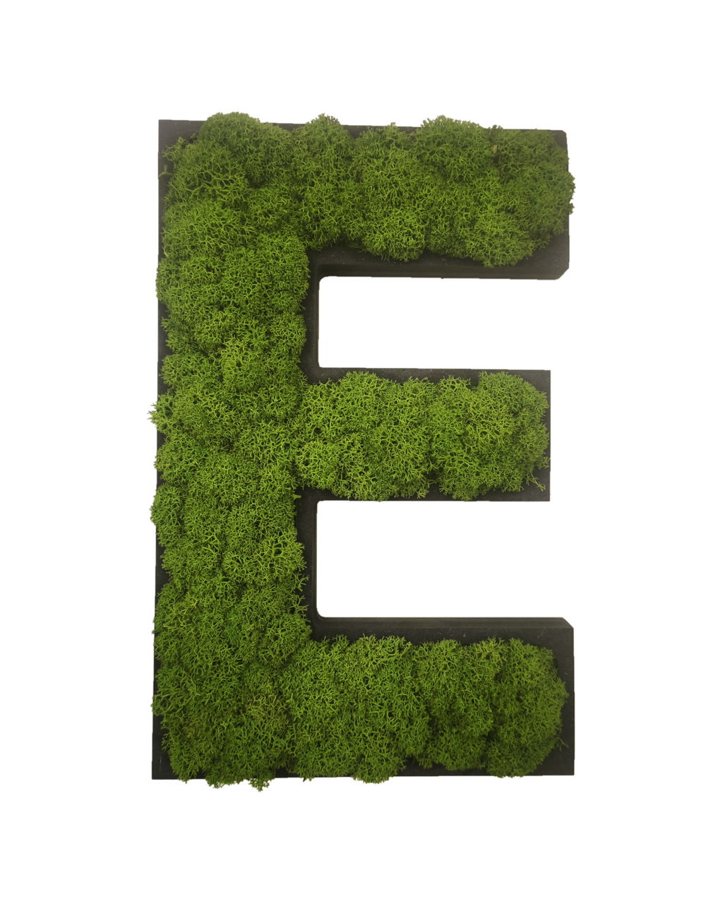 Letter made of preserved moss in a black frame