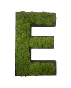 Letter made of preserved moss in a black frame