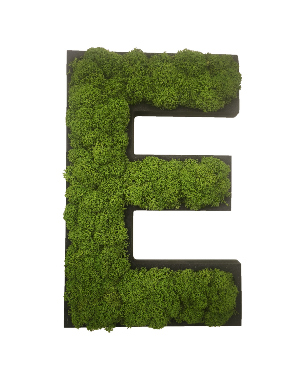 Letter made of preserved moss in a black frame