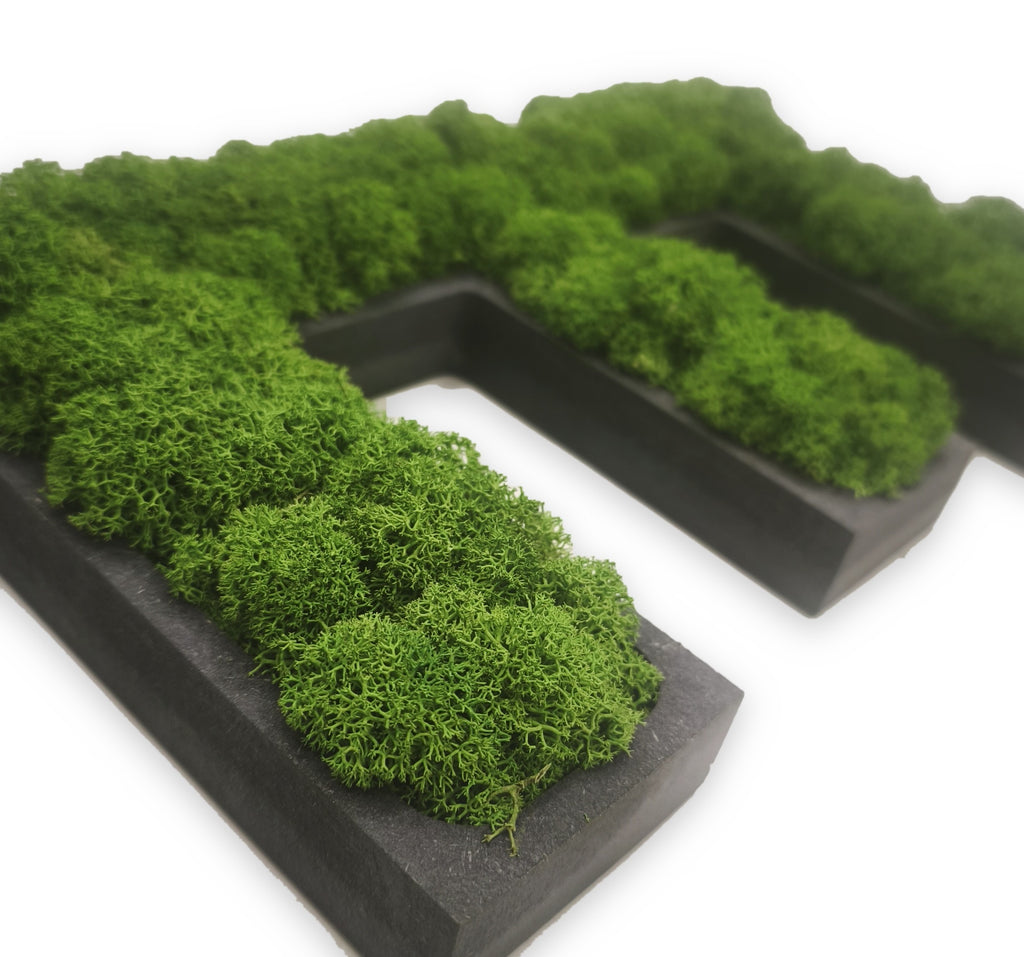 Letter made of preserved moss in a black frame
