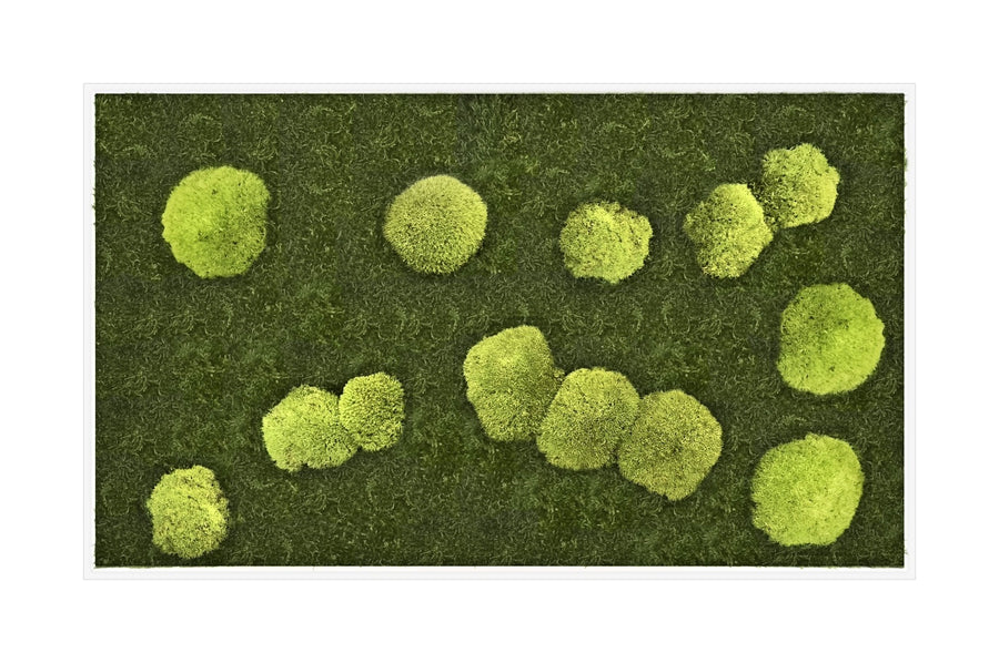 Moss picture 100 x 60 cm with pole moss cushions on flat moss
