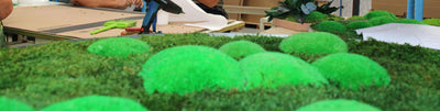 Close-up of pole moss cushions