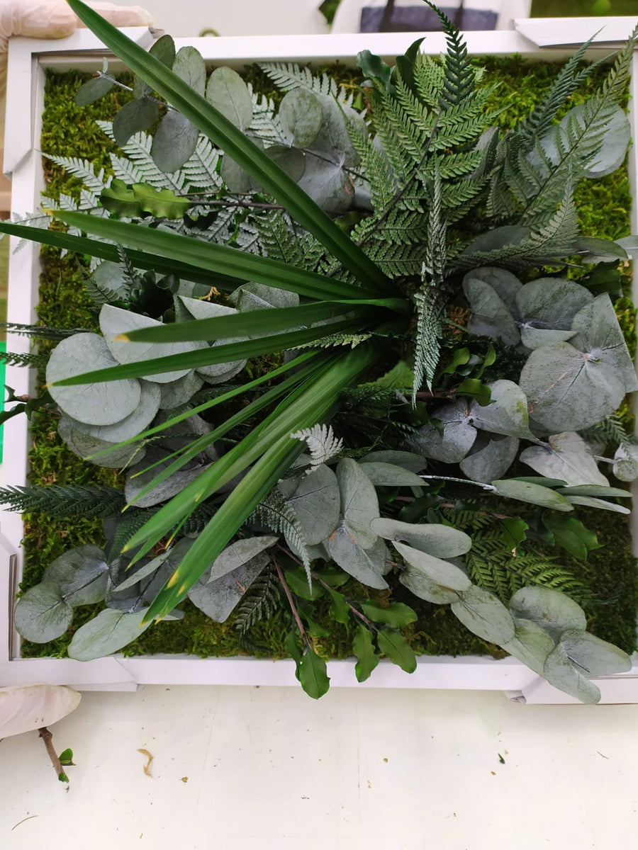 Moss plant picture with preserved eucalyptus, fern and palm leaves in a white frame