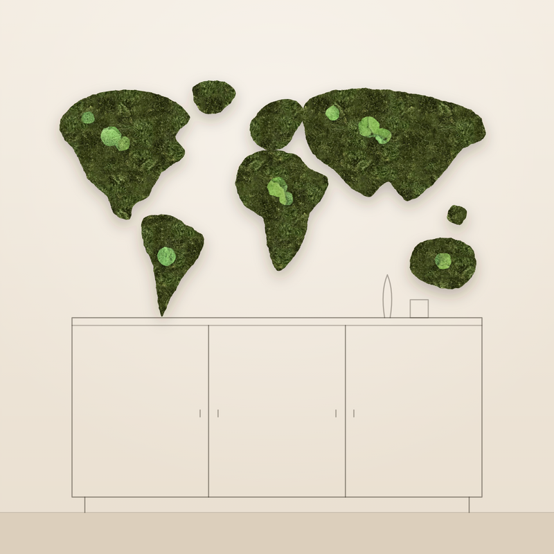 Moss world map on a wall