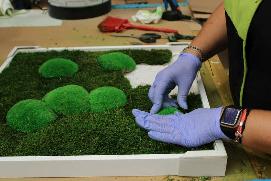 Gloved hands placing a pole moss cushion on flat moss