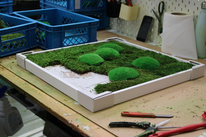 Finished pole moss picture in a white frame on the workbench