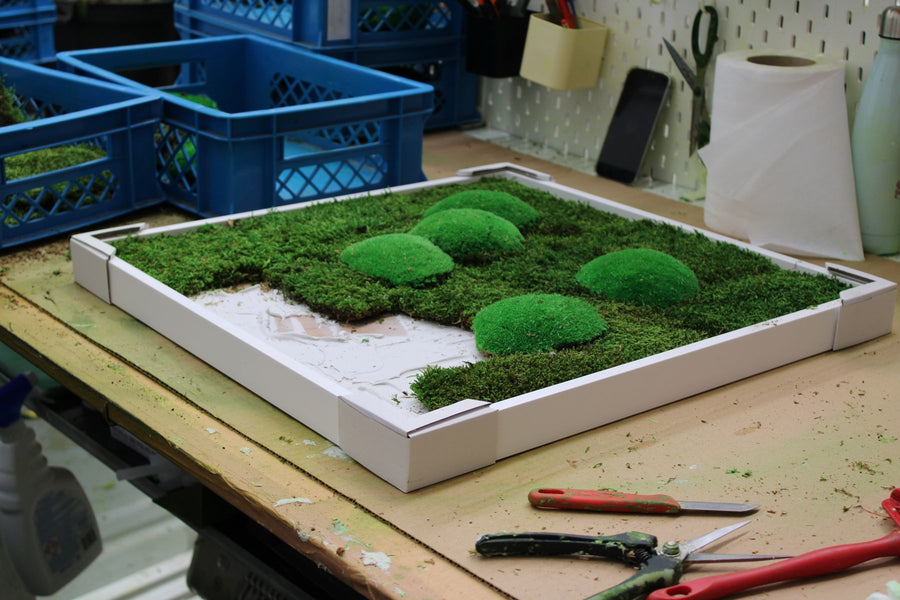 Finished pole moss picture in a white frame on the workbench