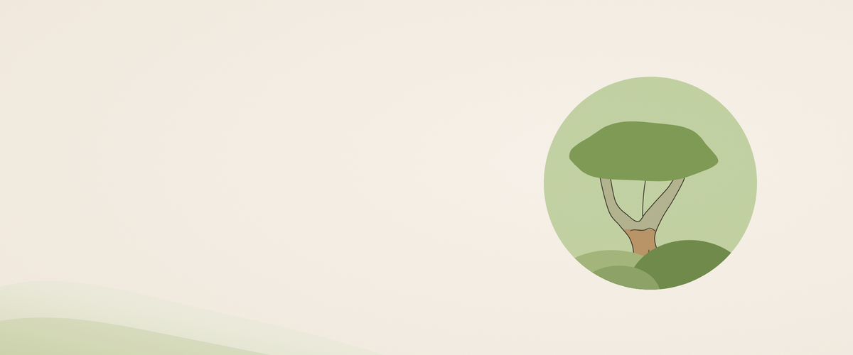 mossence studio in Porto, handmade moss pictures, illustration